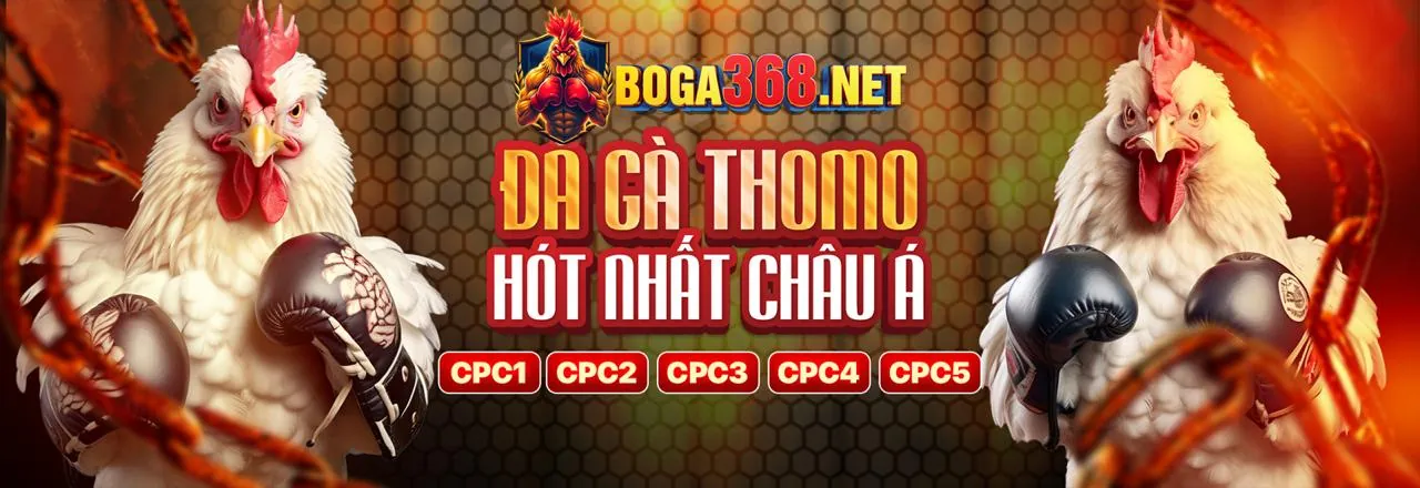 Khuyến mãi MV66 hấp dẫn